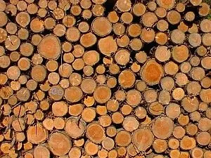 Materialien für Fundament und Struktur der Pergola