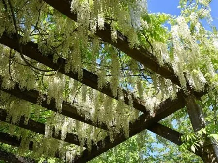 Teil 3 : Die Fertigstellungen